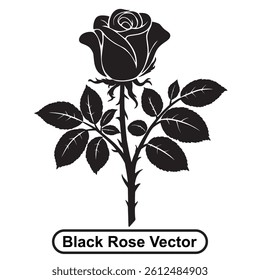 Black rose vector illustration on white background, silhouette