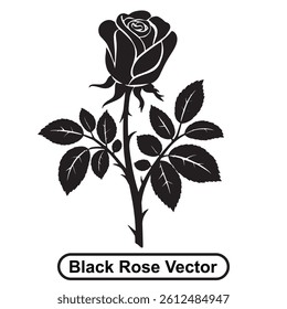 Black rose vector illustration on white background, silhouette