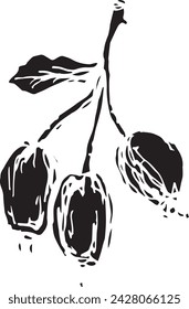 Black rosehip in vintage style. Hand drawn black illustration.
