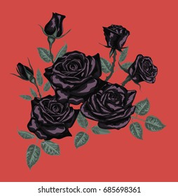 Black roses for card design   -  Vector - Beautiful bouquet with black roses