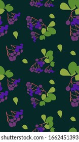 black rowan botanical plant seamless colorful pattern vector