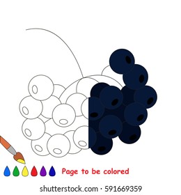 Black Rowan, the coloring book to educate preschool kids with easy gaming level, the kid educational game to color the colorless half by sample.
