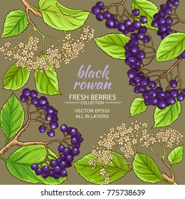 black rowan vector frame on color background