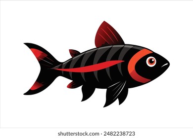 Black Ruby Barb fish vector artwork illustration.