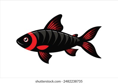 Black Ruby Barb fish vector artwork illustration.