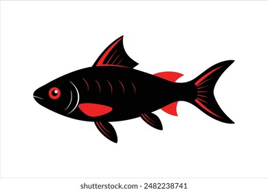 Black Ruby Barb fish vector artwork illustration.