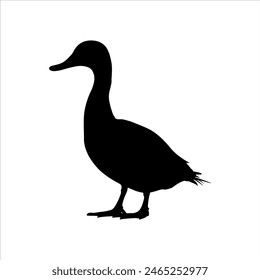 Silueta de pato corredor negro aislado sobre fondo blanco. Diseño de Ilustración vectorial de ícono de pato.