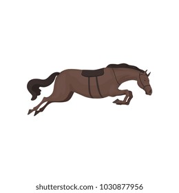 Black running horse, equestrian professional sport vector Illustration  