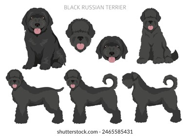 Clipart negro de terrier ruso. Diferentes colores de la capa y poses establecidas.  Ilustración vectorial