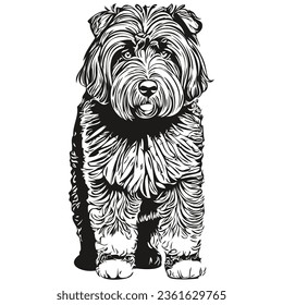 Black Russian Terrier dog realistic pencil drawing in vector, line art illustration of dog face black and white realistic breed pet