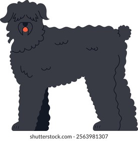 Black Russian Terrier standing with tongue out, panting and showing teeth, long and thick black fur covering its body, illustration on white background