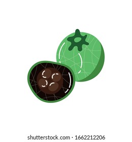 sapote negro fruta exótica estilo plano icono ilustración vectorial