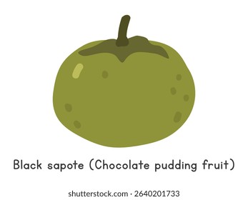 Black sapote flat vector illustration. Black sapote or Chocolate pudding fruit cartoon clipart style isolated on white background. Unusual and Lesser-Known fruit concept