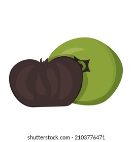 Black sapote fruit vector isolated. Tropical ripe food, natural dessert. Exotic black colored fruit.