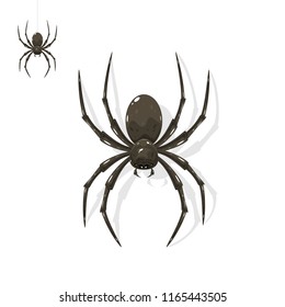 Black scary spider for Halloween isolated on white background, illustration.