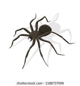 Black scary spider for Halloween theme isolated on white background, illustration.