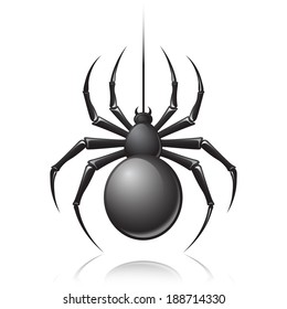 Black scary spider insect isolated on white background emblem vector illustration