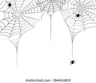 black scary of spider with web icon so creepy for Halloween Day.