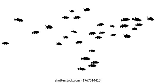 Colegio negro de ilustraciones vectoriales de natación de peces. El océano o el fondo del mar. Escasez de peces aislados en blanco. Diseño marino de verano.