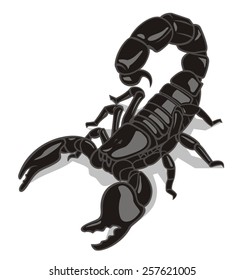 Black scorpion