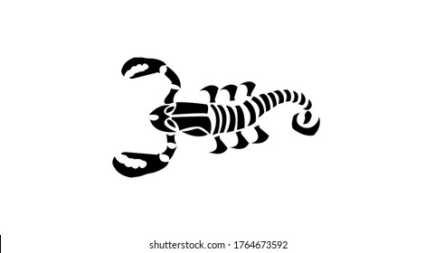 Black Scorpion icon/logo Vector Design Artwork.