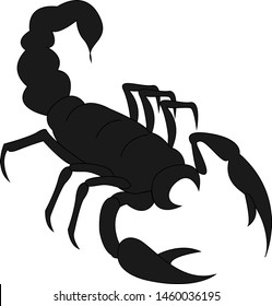 Black scorpion, illustration, vector on white background.