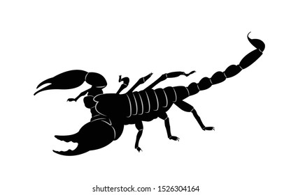 Black scorpion isolated on white background.
