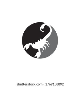 Black scorpion logo design vector template