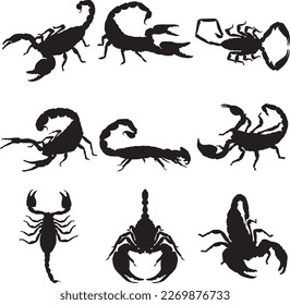 Black scorpion silhouette isolated on white, Silhouettes of various types of scorpion. svg