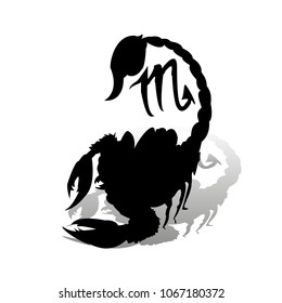 Black scorpion, zodiac sign, silhouette on white background with shadow, vector