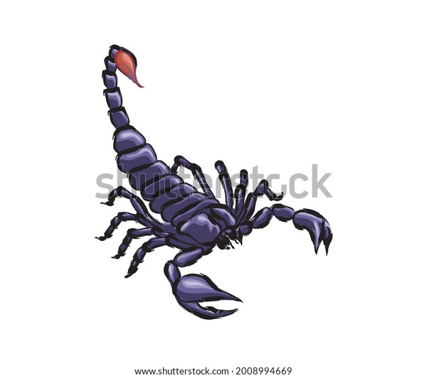 Black Scorpions Vector Image Isolated On Stock Vector (Royalty Free ...