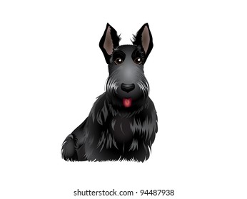 Black Scottish Terrier vector illustration eps 10