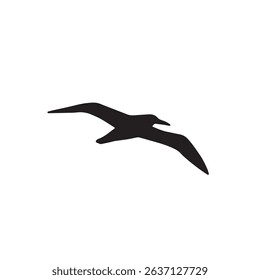Black Seagull Beautiful Bird Image