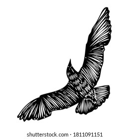 Black seagull, hand drawn strokes marine sea gull bird. Drawing sketch. Inspirational body or flesh tattoo ink for sailor. Nautical vector.