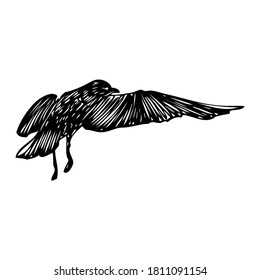 Black seagull, hand drawn strokes marine sea gull bird. Drawing sketch. Inspirational body or flesh tattoo ink for sailor. Nautical vector.