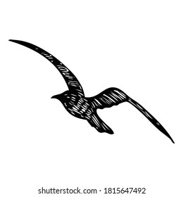 Black seagull, hand drawn strokes marine sea gull bird. Drawing sketch. Inspirational body  or flesh tattoo ink for sailor. Nautical vector.