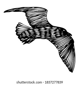 Black seagull, hand drawn strokes marine sea gull bird. Drawing sketch. Inspirational body flash tattoo ink for sailor. Nautical vector.