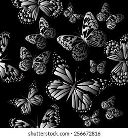 black seamless background with gray butterflies. Vector