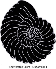 black seashell vector illustration / mollusk nautilus art / travel summer adventure logo element / beach tropical art / ancient history logo