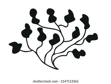  black seaweed branch on a white background. Algae logo, algae icon	
