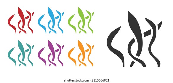 Black Seaweed icon isolated on white background. Underwater seaweed spirulina, aquatic marine algae plant. Vegan and vegetarian food. Set icons colorful. Vector