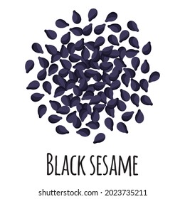 Black sesame for template farmer market design, label and packing. Natural energy protein organic super food. Vector cartoon isolated illustration.