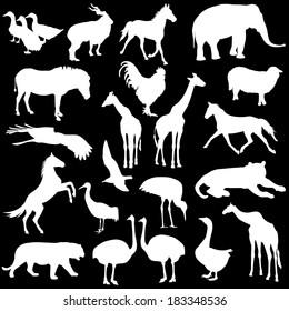 Black set silhouettes  zoo animals collection on white background. Vector illustration.