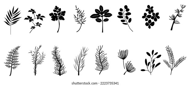 Black shading winter botanical leaves on white background. Collection of silhouette winter christmas foliage, pine leaves, holly, oak, eucalyptus. Design illustration for print, sticker, decoration.