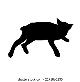 The black shadow of a cat lying on a white background