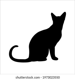 black shadow of a cute cat