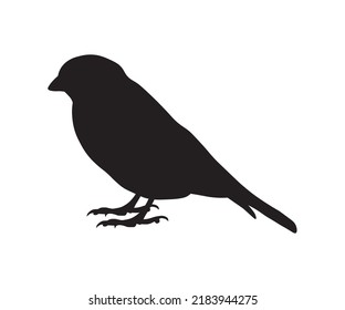 black shadow, silhouette of a sparrow standing sideways