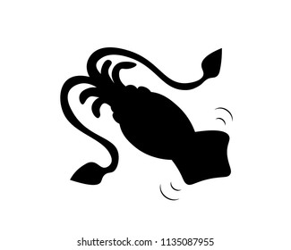 Black shadow of squid sea animals underwater animal isolation on white background