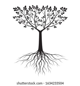 Black shape of Tree with Leaves and Roots. Vector outline Illustration. Plant in Garden.