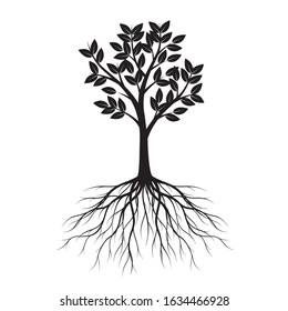 Black shape of Tree with Leaves and Roots. Vector outline Illustration. Plant in Garden.